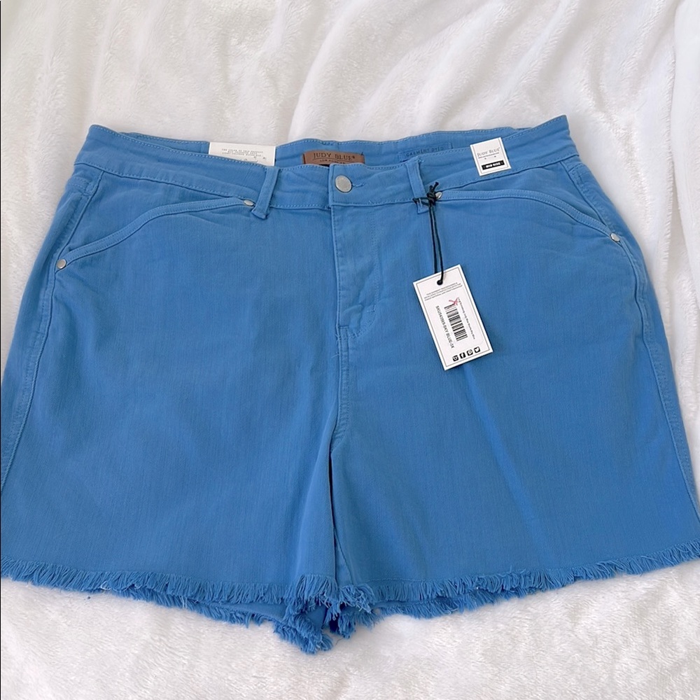 Judy Blue Blue Frayed Hem Shorts Size 3x